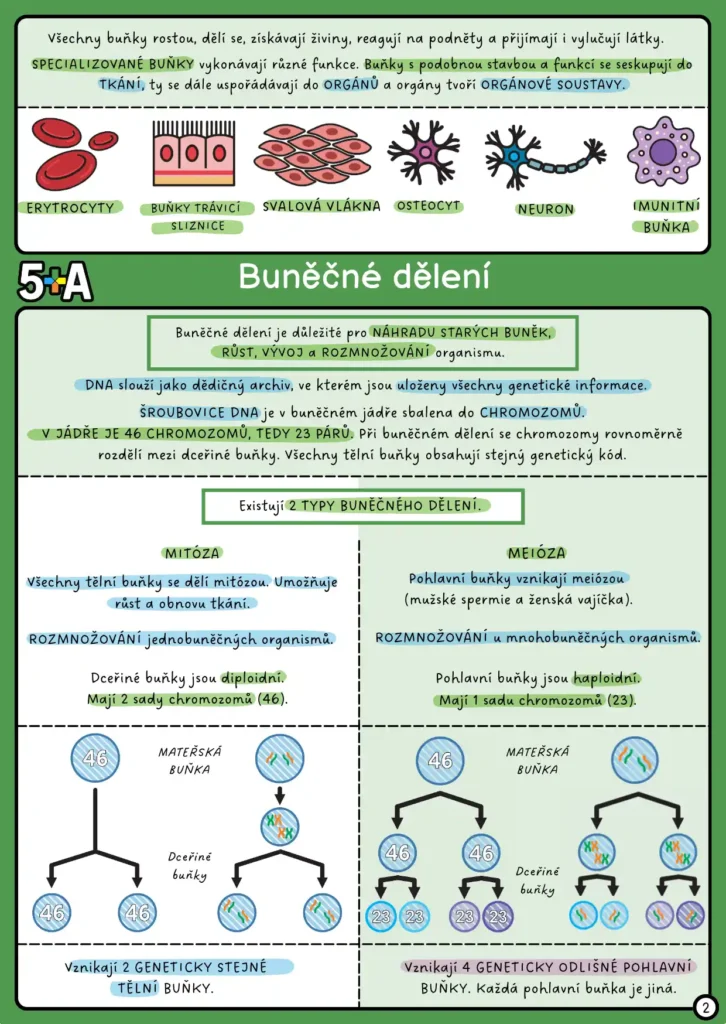 Biologie pro základní školu – výukové kartičky 5+A